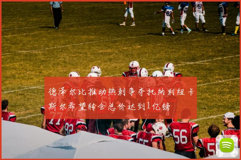 德泽尔比推动热刺争夺托纳利纽卡斯尔希望转会总价达到1亿镑